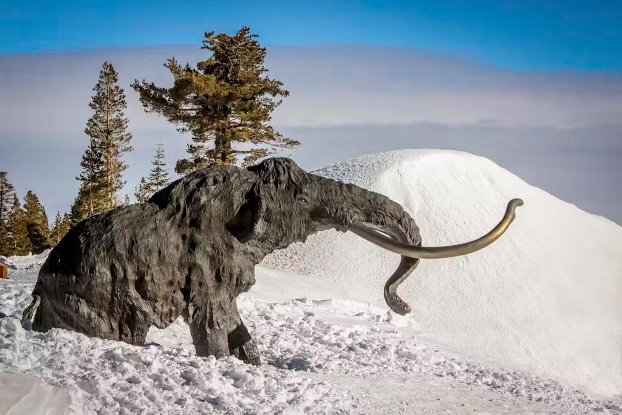 Chamonix 100 Apartment Mammoth Lakes Luaran gambar